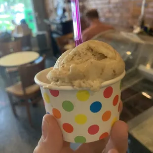 Peanut Butter Chocolate Gelato