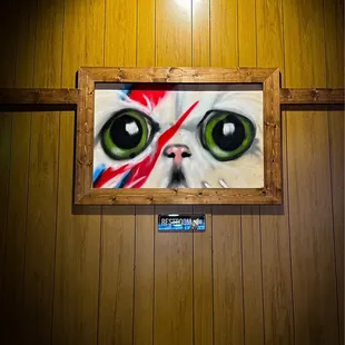 a picture of a cat's face