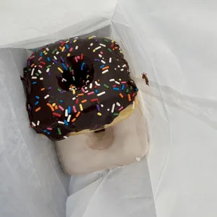 a chocolate frosted donut with sprinkles