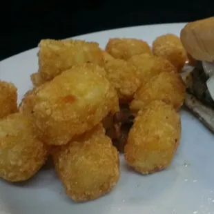 a sandwich and tater tots