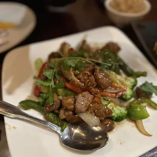 Vegetarian Broccoli Beef