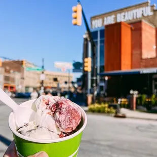 Blackberry Cheesecake and Lemoreo Ice cream