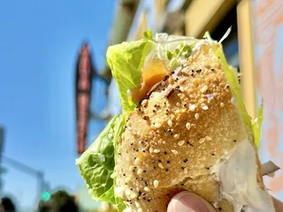 Java Beach At The Zoo