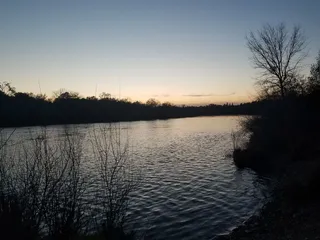 American River Parkway - Sailor Bar