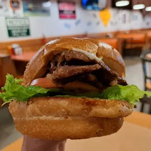 Teriyaki Steak Sandwich