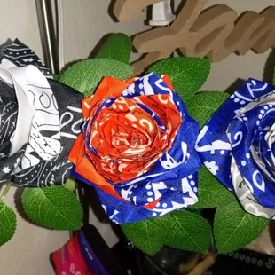 Team colors