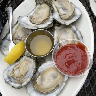 Half Shell Oysters , Steamed Or Raw