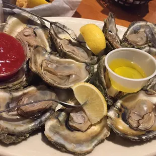 Oysters on the Half Shell