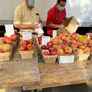 Fruit from Paul's orchard