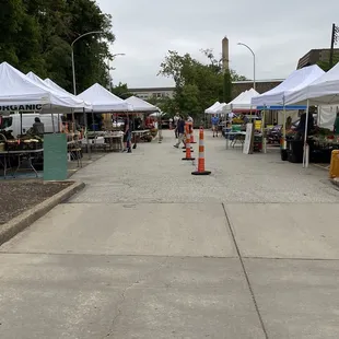 Setting up the market