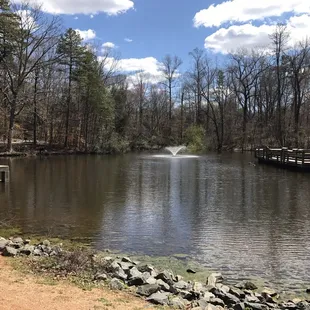 It's so serene and tranquil just to sit by the pond and listen to nature do what it does best.