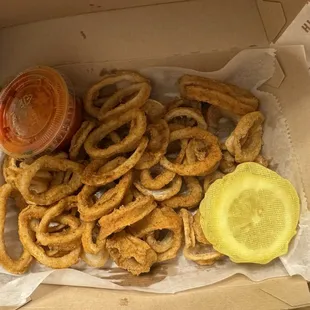 Calamari Fritti