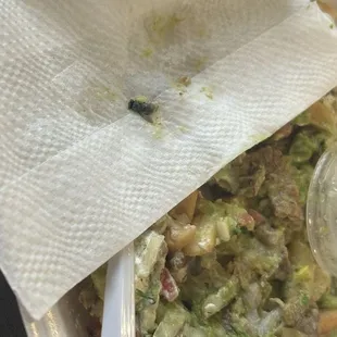 The fly right after we found it in our Carne Asada Fries