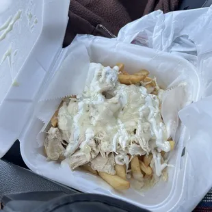 Pollo Carne Asada Fries