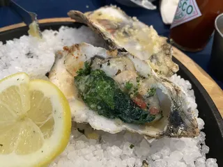 Key Allegro Yacht Club