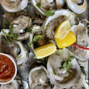 Oysters on the Half Shell