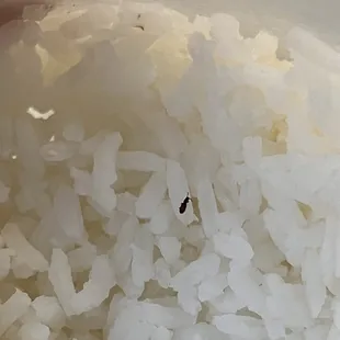 16oz Rice Special of the Day