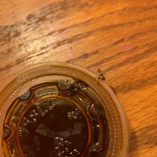 Dead bug on top of sauce cup. The head is severed on the side of the top. The smashed body is on the lid.