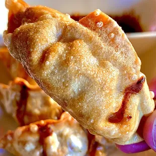 Pot Sticker Dumplings deep fried