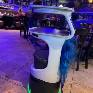 Robot that delivers the food to your table