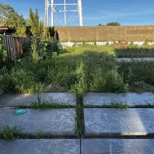 Remodeling of entire back yard, with addition of bender board, sod, decomposed granite and planter mix.