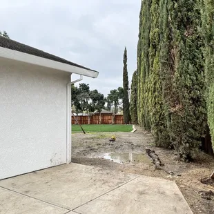 Emergency tree removal.