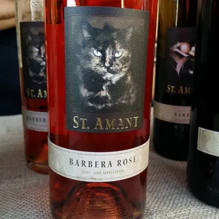 This is calico, one of the winery cats.