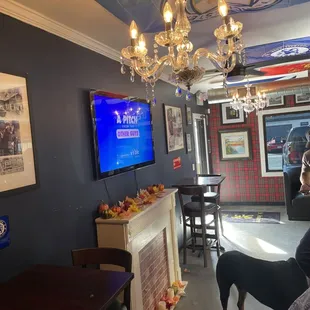 a dog sitting in front of a tv