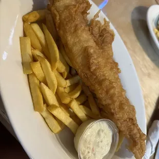 single fried fish