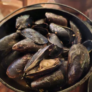 food, oysters, mussels, shellfish, oysters and mussels