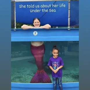 Meet &amp; Greet with Mermaid