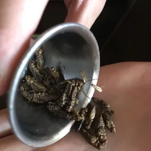 Taste like sunflower seeds