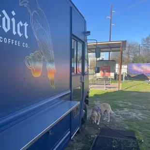 two dogs standing in front of a truck