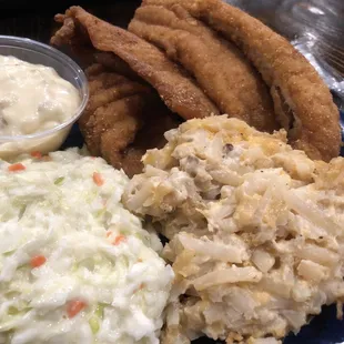 Fish meal is very yummy.