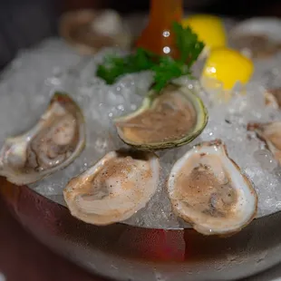 a plate of oysters