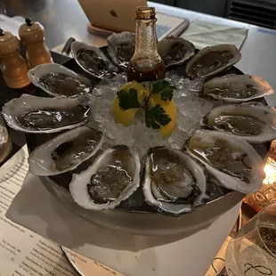 Oysters