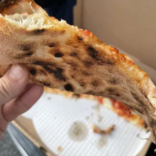 Look at the perfect dough and crisp bottom