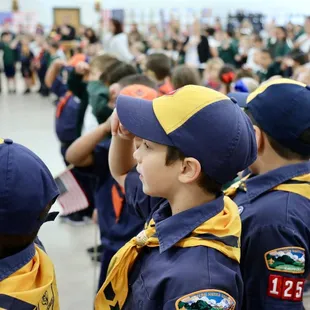 Veteran's Day Celebration Salute