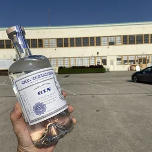 a hand holding a bottle of gin