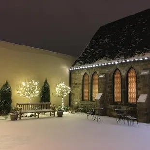 Christmas lights in the garden.