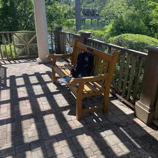Courtyard behind library