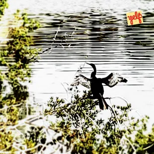 The view from the library's gazebo.. Have an amazing week and do something spectacular while you dance through it.. Namaste