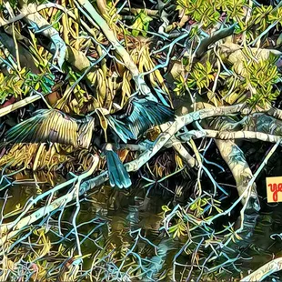 The view from the back of the library Have an amazing week and do something spectacular while you dance through it.. Namaste