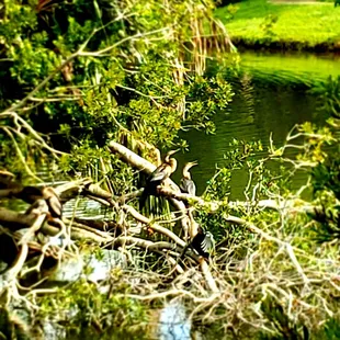 The view from the back of the library Have an amazing week and do something spectacular while you dance through it.. Namaste