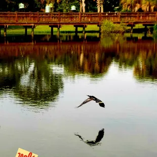 The view from the back of the library Have an amazing week and do something spectacular while you dance through it.. Namaste