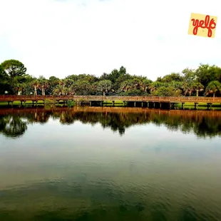 The view from the back of the library Have an amazing week and do something spectacular while you dance through it.. Namaste