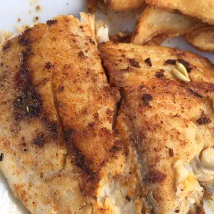 Conch Fritters