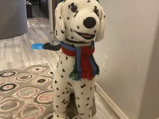 Animal Humane - Thrift Shop