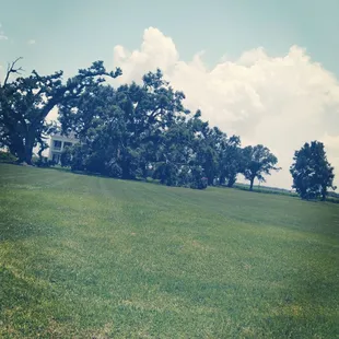 Felicity Plantation