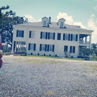 Felicity Plantation